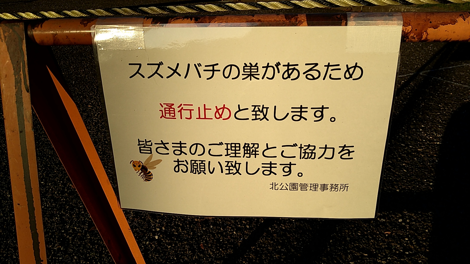 スズメバチの巣