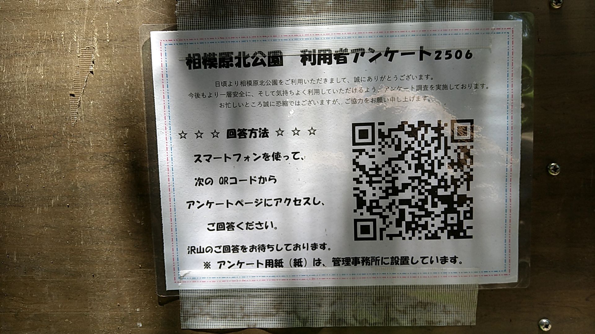 アンケート